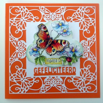 Vlinderkaart