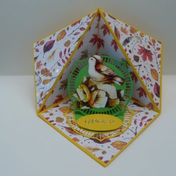Verrassingskaart