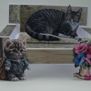 Bankje met poes